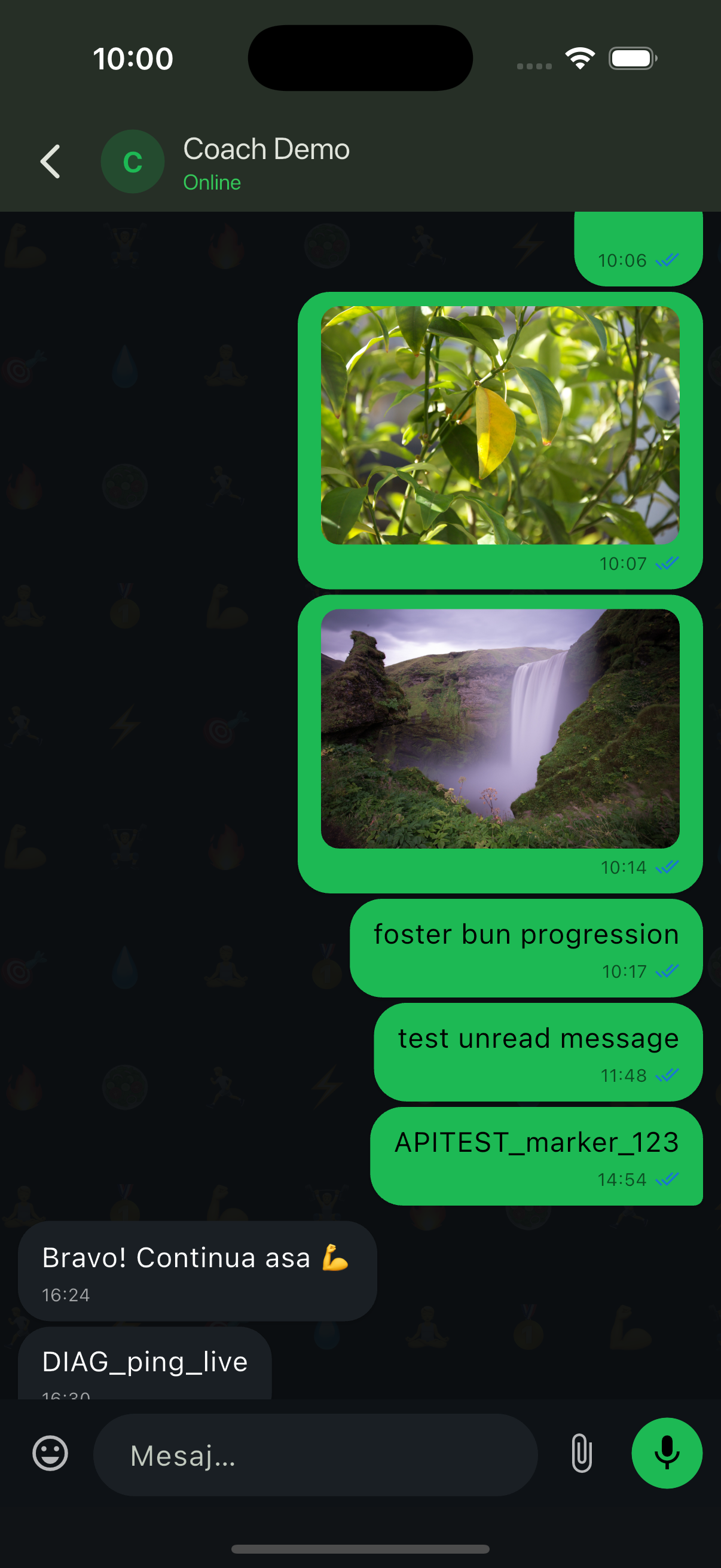 Chat with your coach in Trainzy
